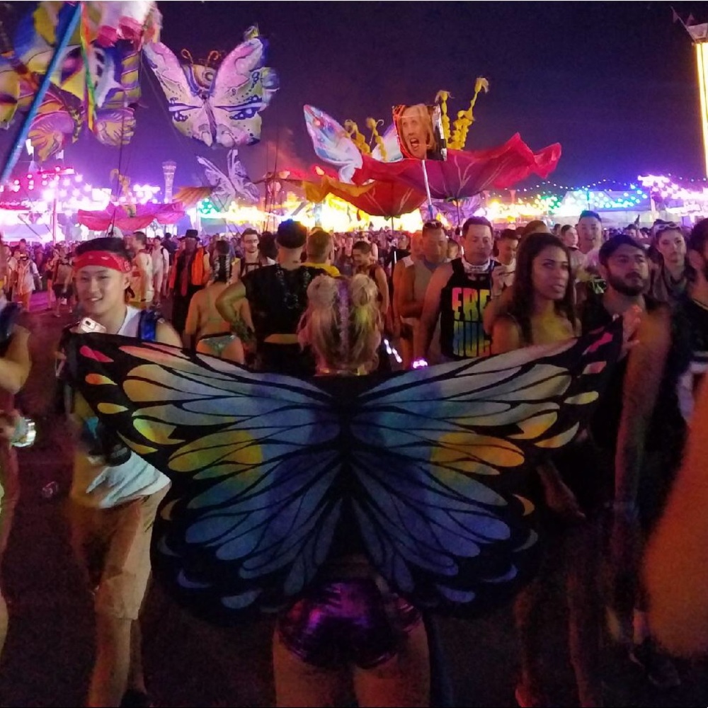 Butterfly wings